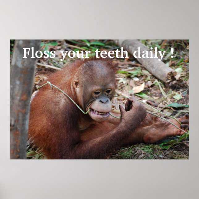 Póster Cuidados Didentales Floss Children's Dentist (Frente)