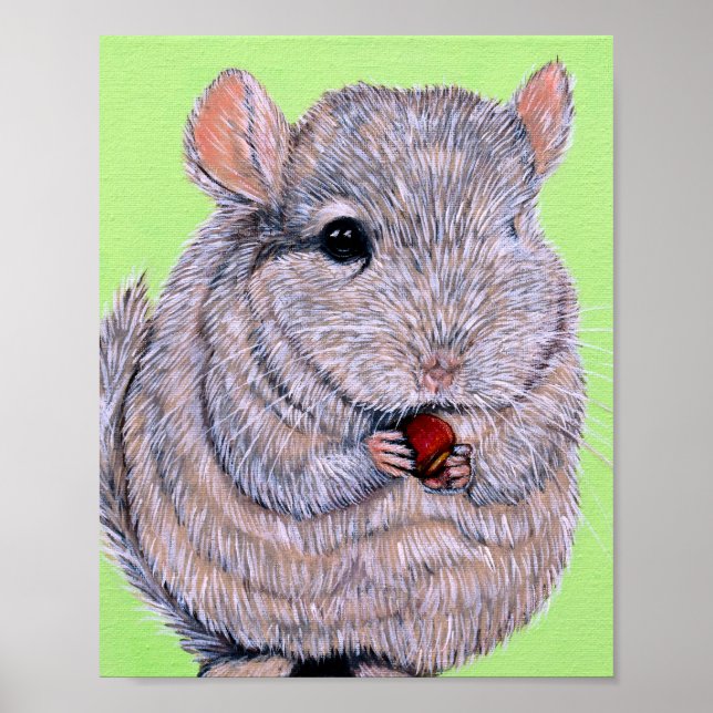 Póster Cuidadosamente peinada Chinchilla (Frente)