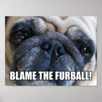 ¡CULPA AL FURBALL! ALLERGY MEME