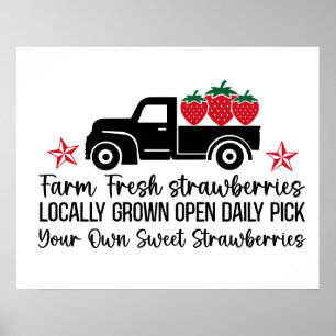 Póster Cultivar fresas frescas de la zona recogen las suy