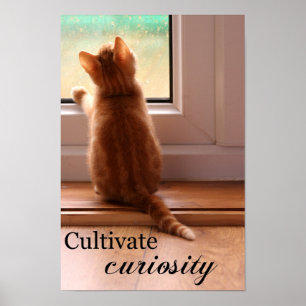 Póster Cultive poster adicional de la curiosidad el