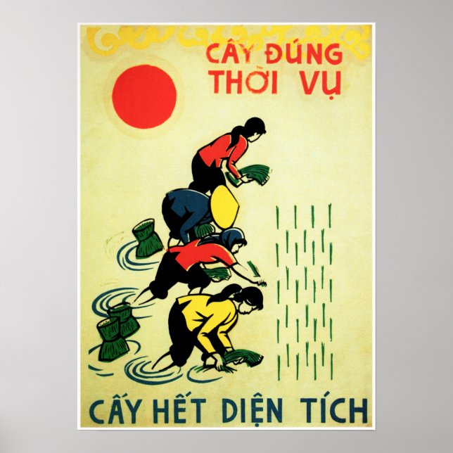 Póster Cultivemos arroz Vietnam Propaganda agrícola agríc (Frente)