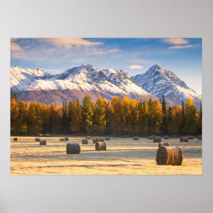 Póster Cultivo de Alaska