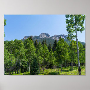 Póster cumbre de espinas sobre bosques en la puerta de or
