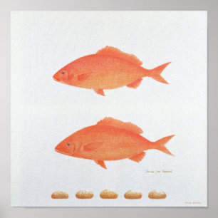 Póster Cumple Cinco Mil 2005