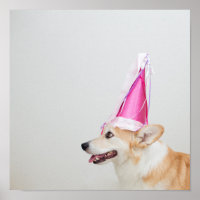 Cumpleaños Pembroke Welsh Corgi Dog