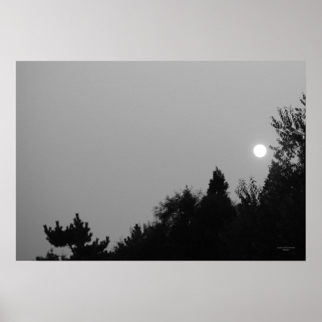 Póster Cumplimiento: Poster de Nature Zen/Tao (Frente)