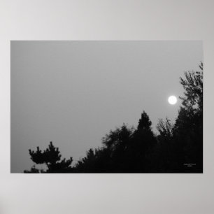 Póster Cumplimiento: Zen de la naturaleza/poster de Tao