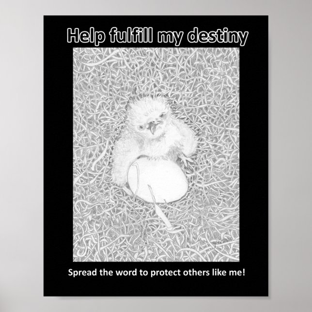 PÓSTER CUMPLIR MI DESTINO SALVAR LOS ASESINATOS DE LA RAT (Frente)