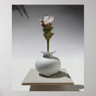 Póster Curcuma Floating Print -20x24 -otros tamaños tambi