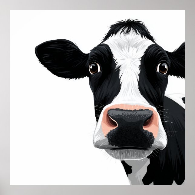 Póster Curiosidad de Vaca en Primer Plano (Frente)