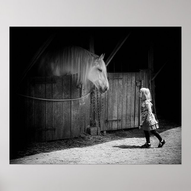 Póster Curiosidad Mutua (Frente)