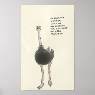 Póster curiosidades de la avestruz
