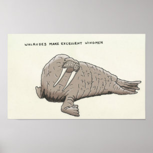 Póster curiosidades de la morsa