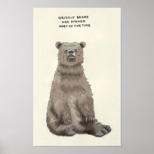 Póster curiosidades del oso grizzly