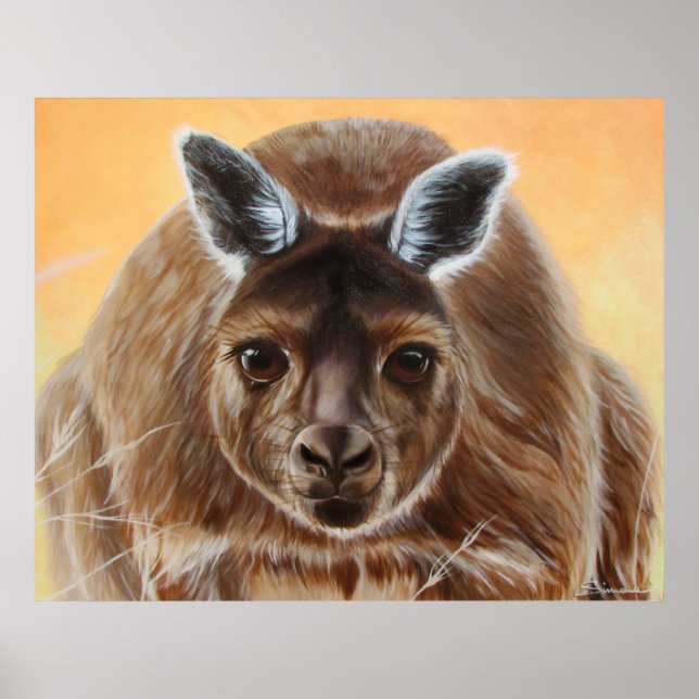 PÓSTER CURIOSO (Frente)