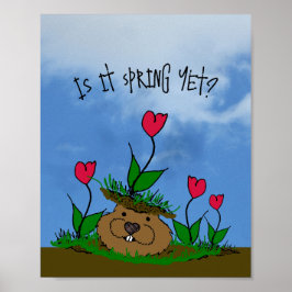 Póster Curioso manicomio buscando la primavera