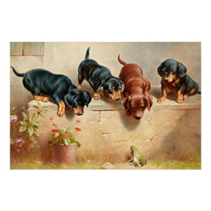 Póster Curiosos cachorros de Dachshund y una rana
