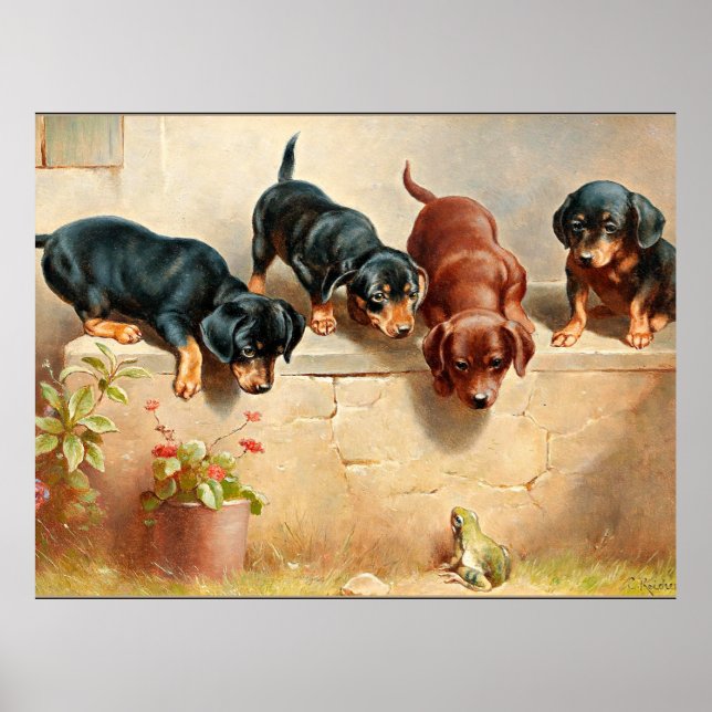 Póster Curiosos cachorros de Dachshund y una rana (Frente)