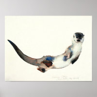 Curious Otter 2003