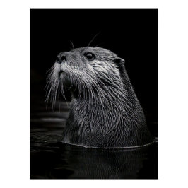 Póster Curious Sea Otter Monochromatic Water Portrait