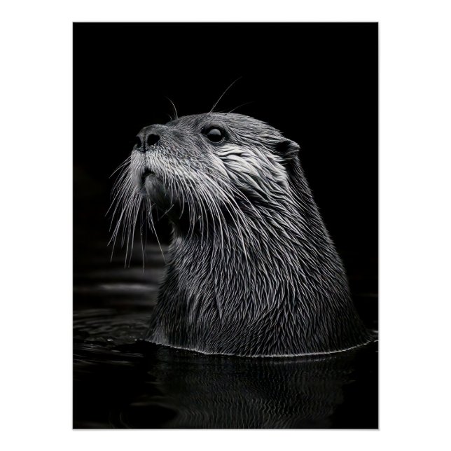 Póster Curious Sea Otter Monochromatic Water Portrait (Anverso)