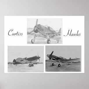 Póster Curtiss Hawk family poster