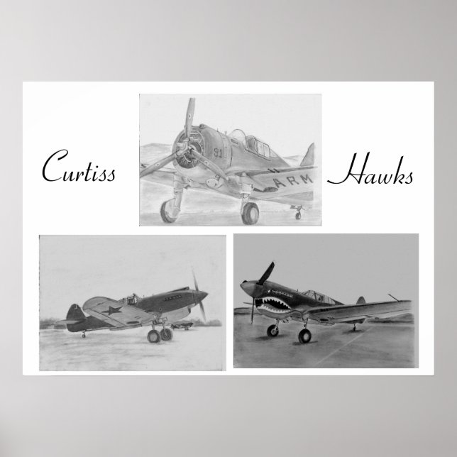 Póster Curtiss Hawk family poster (Frente)