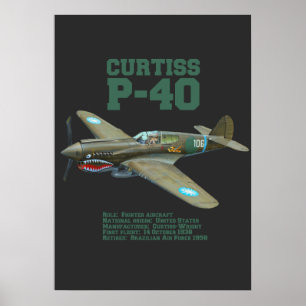 Póster Curtiss P-40 Warhawk   Avión WW2