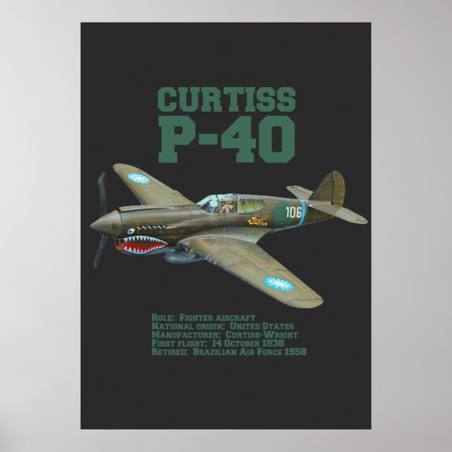 Póster Curtiss P-40 Warhawk | Avión WW2 (Frente)