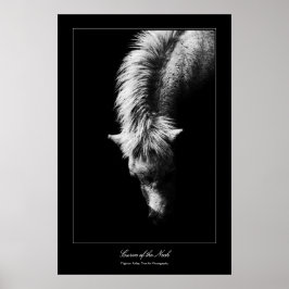 Póster Curva Bella Artes del cuello, estilo galería