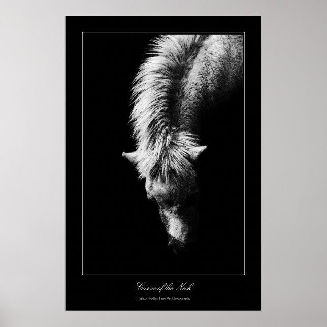 Póster Curva Bella Artes del cuello, estilo galería (Frente)