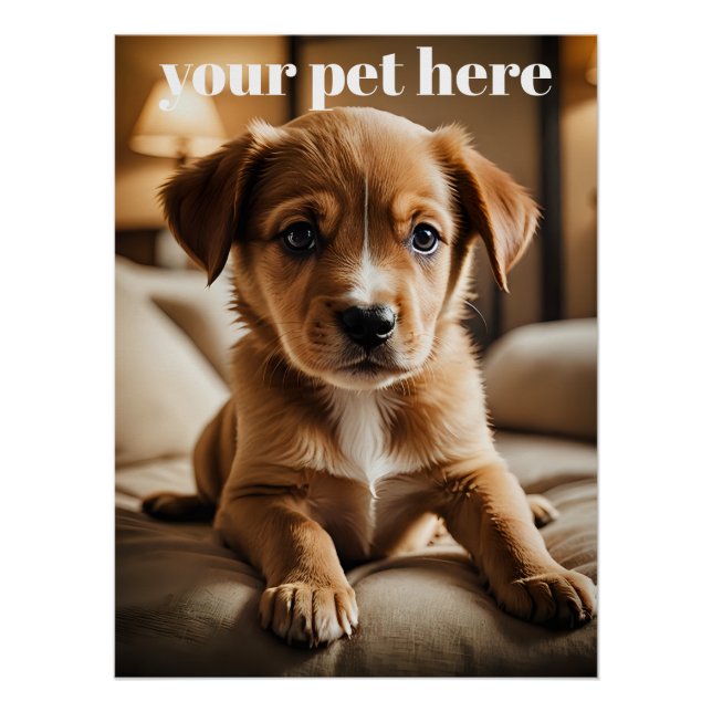 Póster Custom (Anverso)