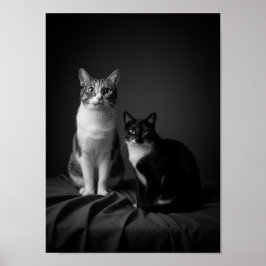 Póster Custom 4K Black & White Pet Portrait Poster 