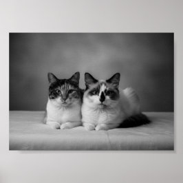 Póster Custom 4K Black & White Pet Portrait Poster – Prof