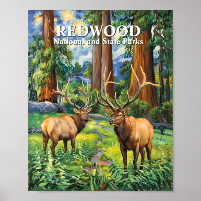 Póster Custom Text Elk Redwood California Forest Van Gogh (Frente)