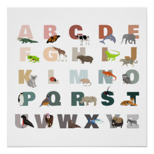 Póster Cute Alphabet ABC Animals Classroom Nursery