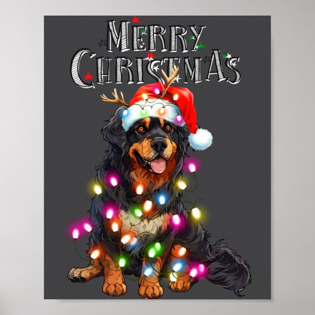 Póster Cute Bernese Mountain Christmas Lights Xmas Dog Lo (Frente)