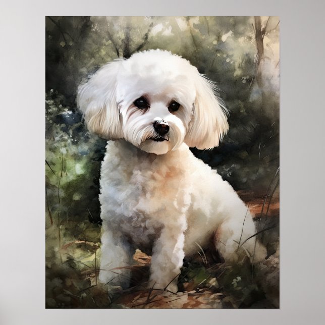 Póster Cute Bichon Frise Dog Art Print Poster (Frente)