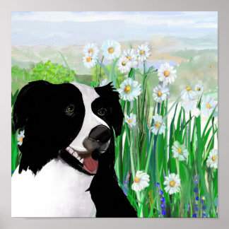 Póster Cute, Border Collie Daisies Wall Art Poster