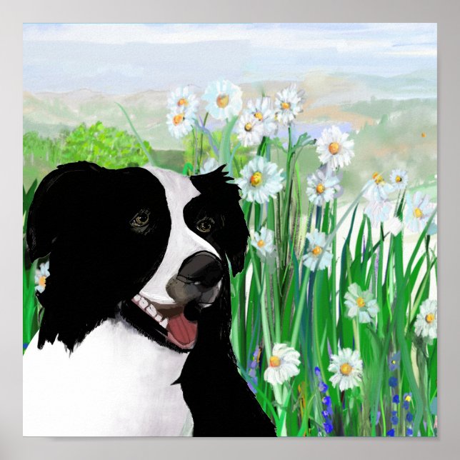 Póster Cute, Border Collie Daisies Wall Art Poster (Frente)