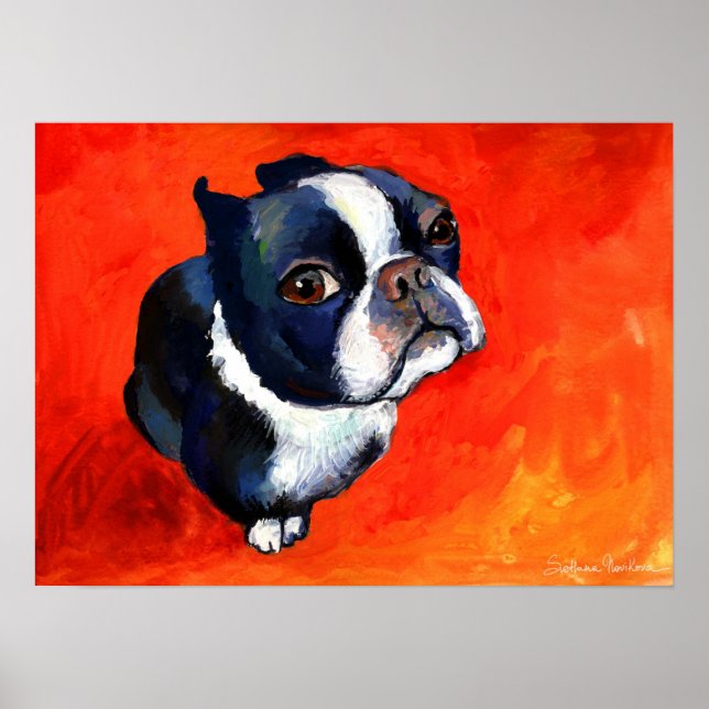 Póster Cute Boston Terrier Dog pintura Svetlana Novikova (Frente)
