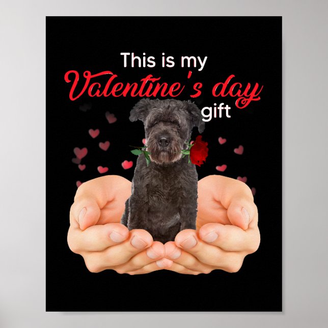 Póster Cute Bouvier Des Flandres Este Es Mi Valentine Da (Frente)