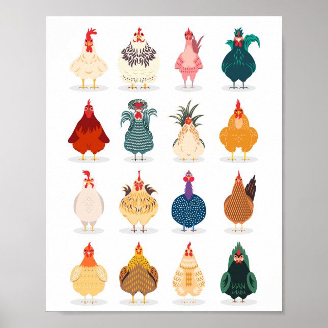 Póster Cute Chicken (Frente)