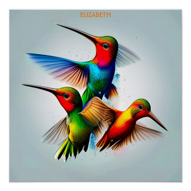 Póster Cute Colibri Rusty Fantasy Vintage Cute Colibri (Anverso)