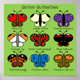 Póster Cute Colourful British Butterfly Poster