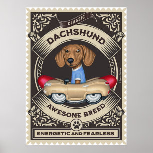 Póster Cute Dachshund Conducción Autobús Dorado