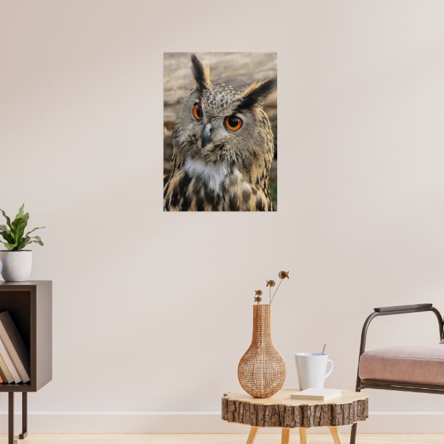 Póster Cute eagle owl (Salón 3)