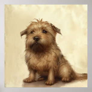 Póster Cute Fluffy Norfolk Terrier Art