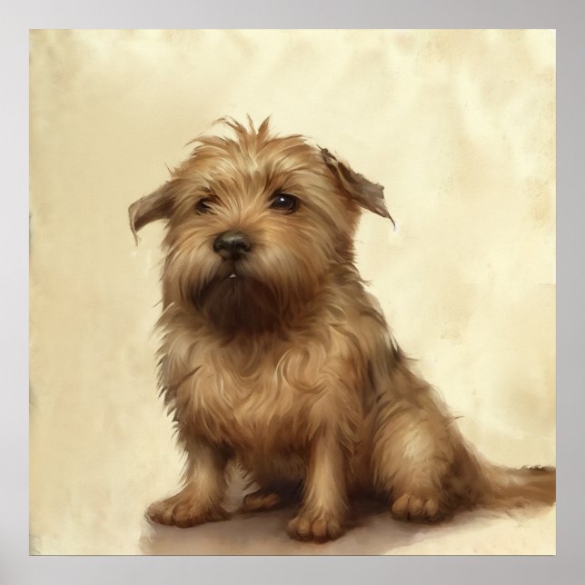 Póster Cute Fluffy Norfolk Terrier Art (Frente)